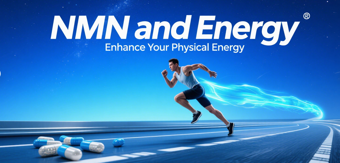 NMN and Energy