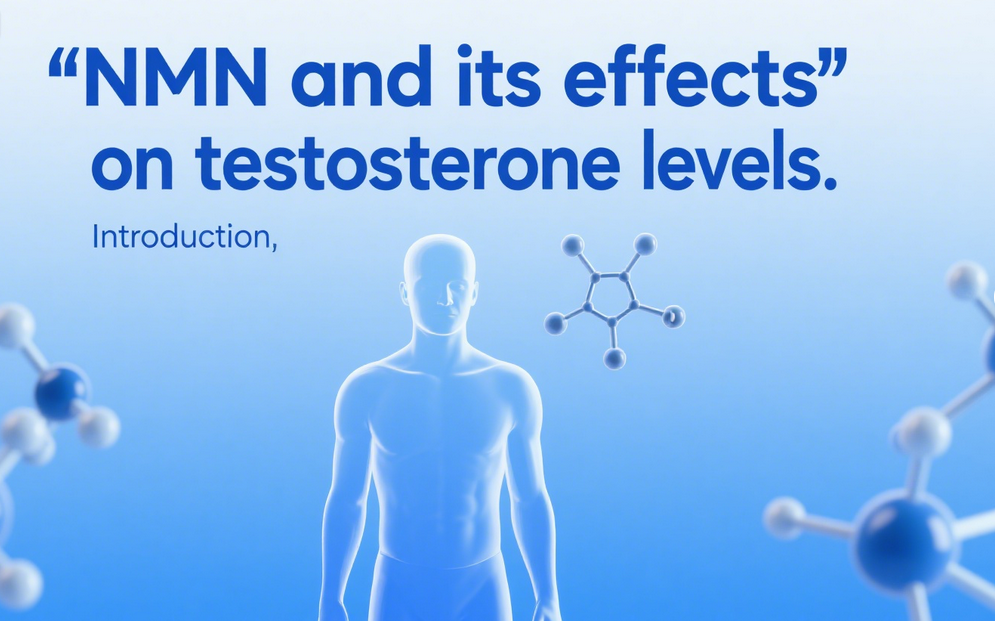 NMN and its effects on testosterone levels