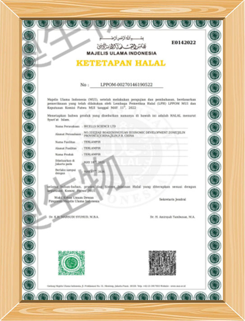 certificate4